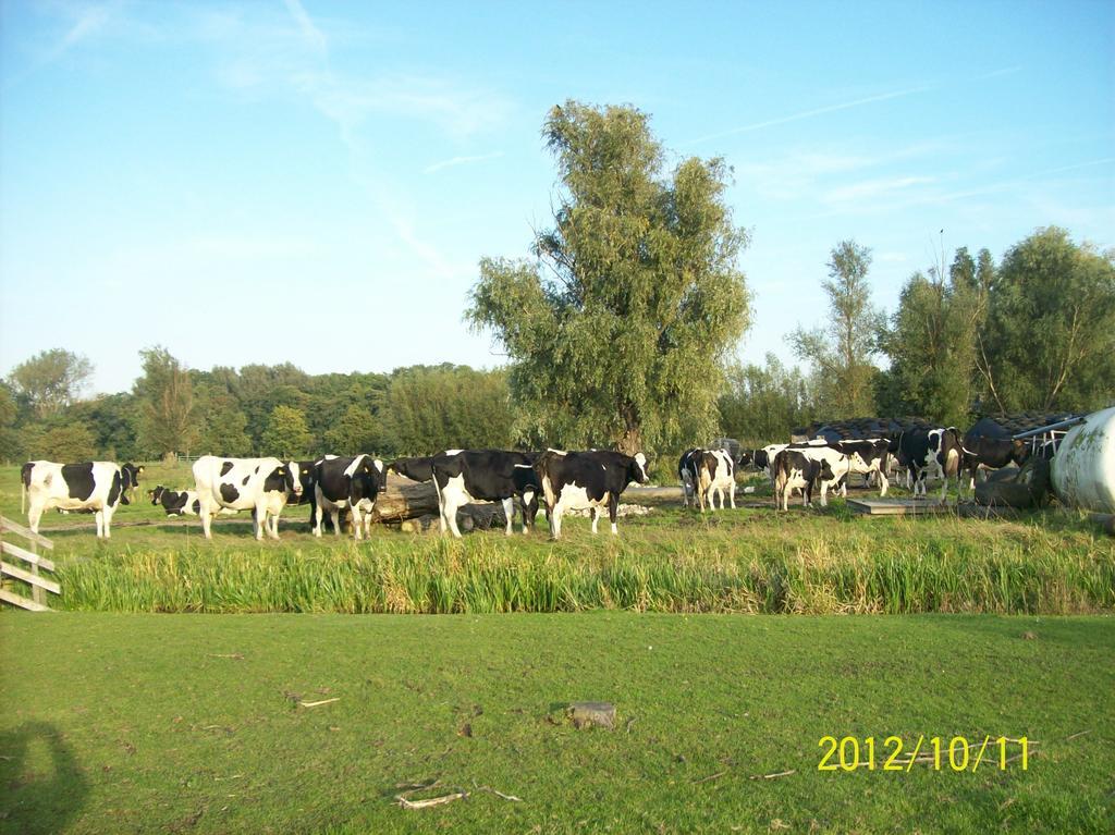 Het Boenhok Logies Bed and Breakfast Lekkerkerk Exteriör bild