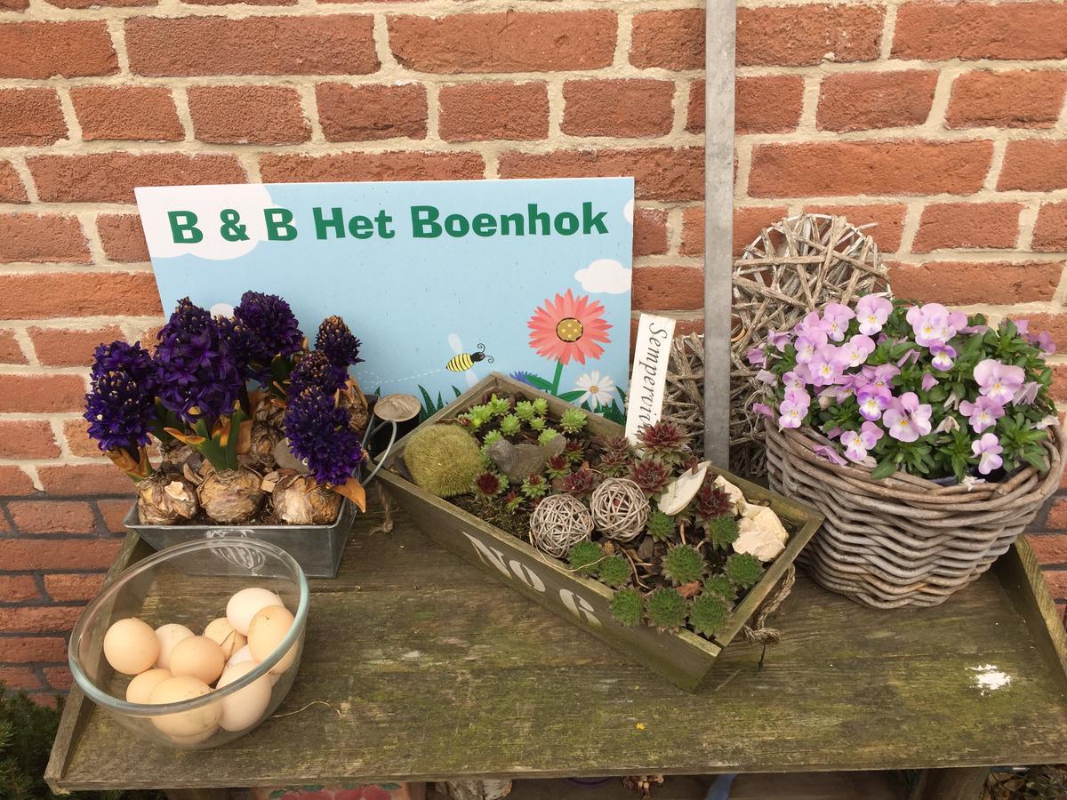 Het Boenhok Logies Bed and Breakfast Lekkerkerk Exteriör bild